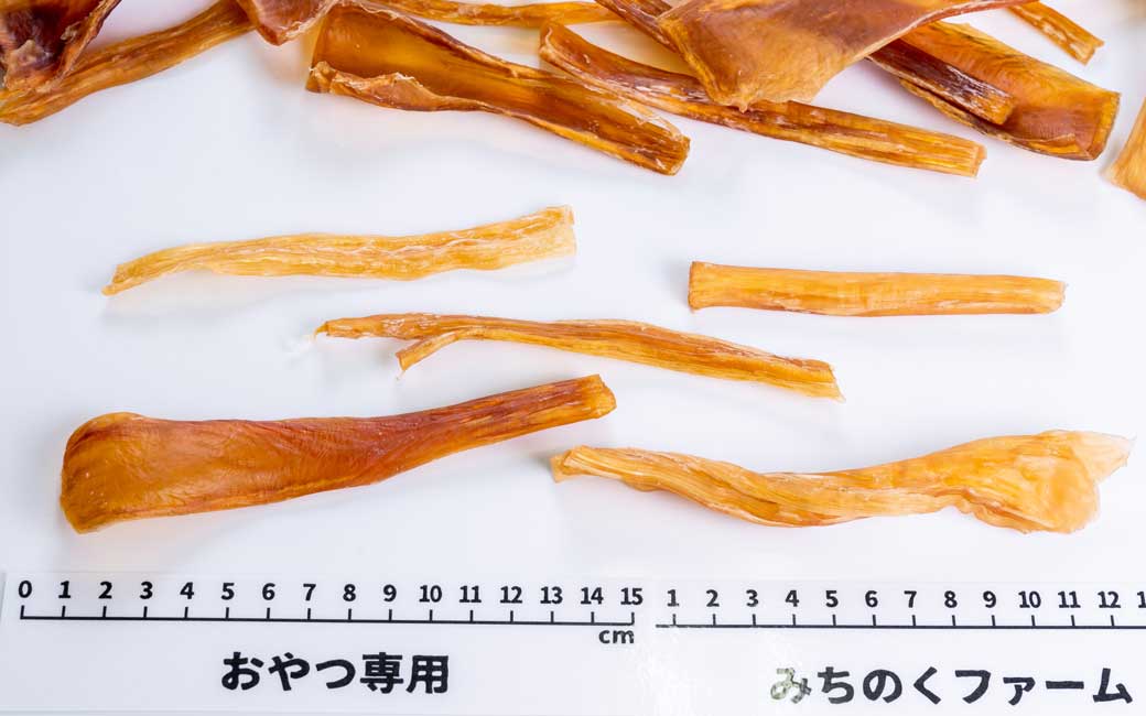 Air Dried Horse Achilles