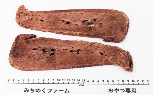 Air Dried Horse Lung