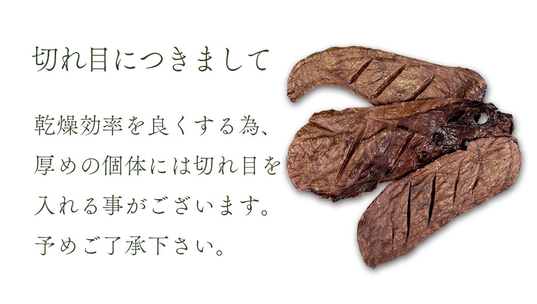 Air Dried Horse Lung