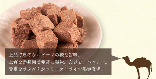 Freeze Dried Camel