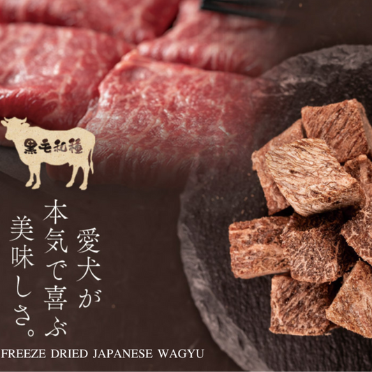 Freeze Dried Japanese Wagyu