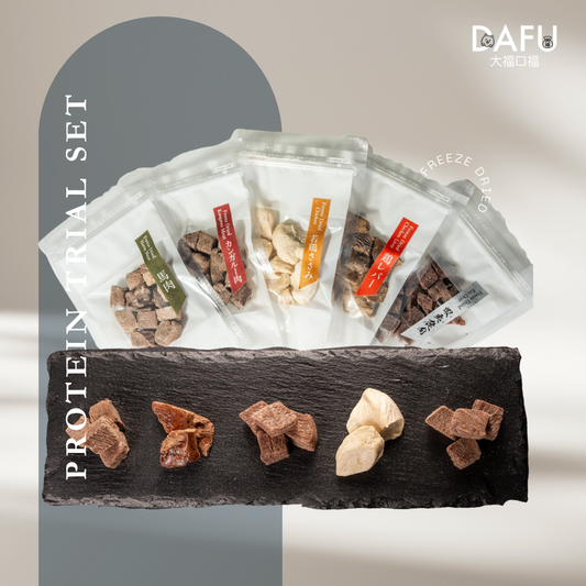 Freeze Dried Protein 5 Flavour Trial Set