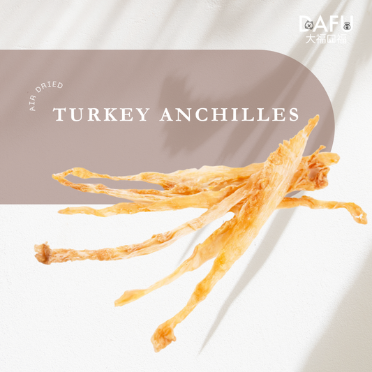 Air Dried Turkey Achilles