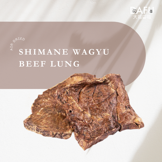 Air Dried Shimane Wagyu Beef Lung