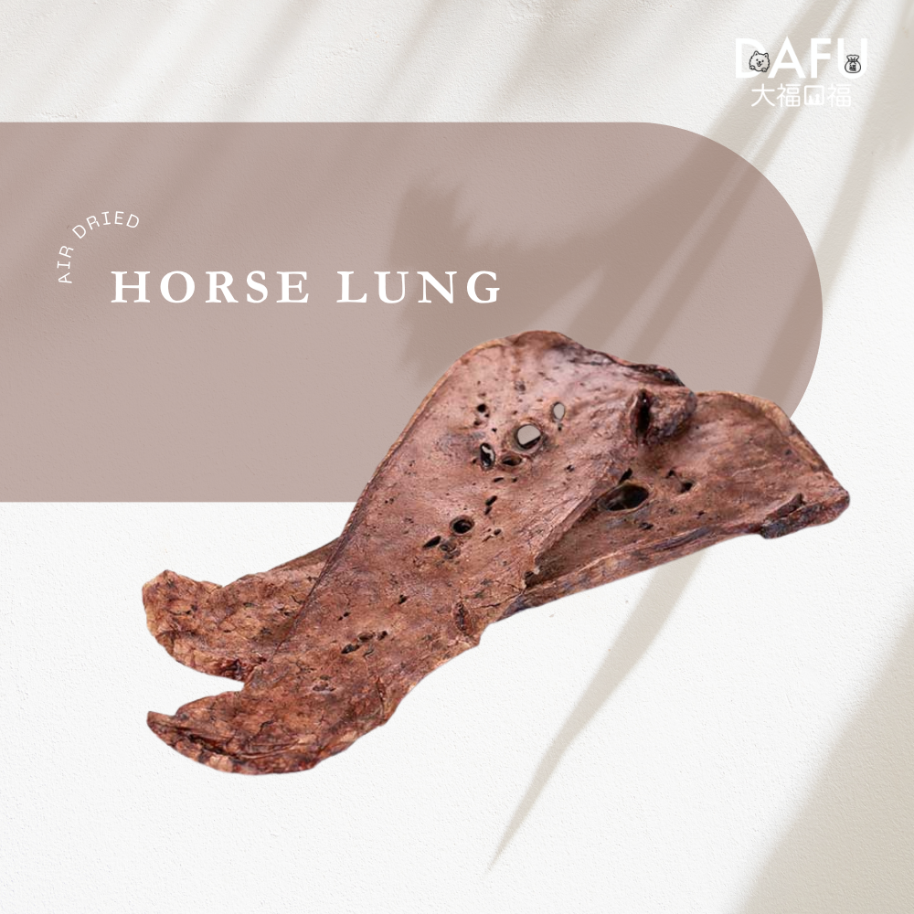 Air Dried Horse Lung