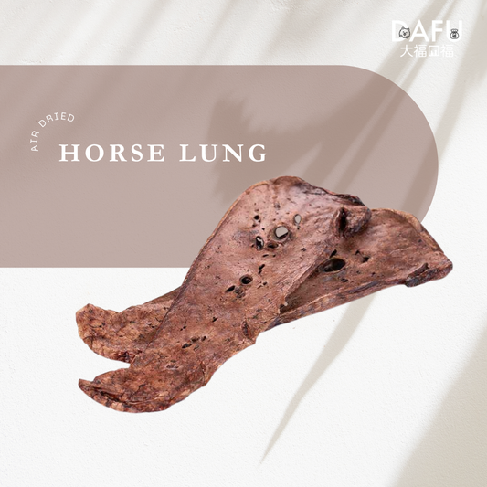 Air Dried Horse Lung
