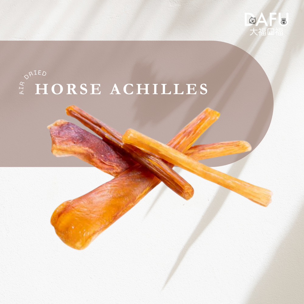 Air Dried Horse Achilles