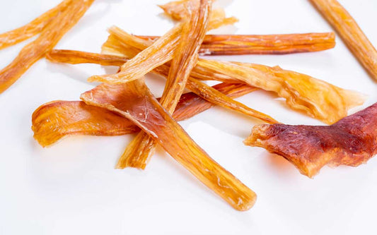 Air Dried Horse Achilles