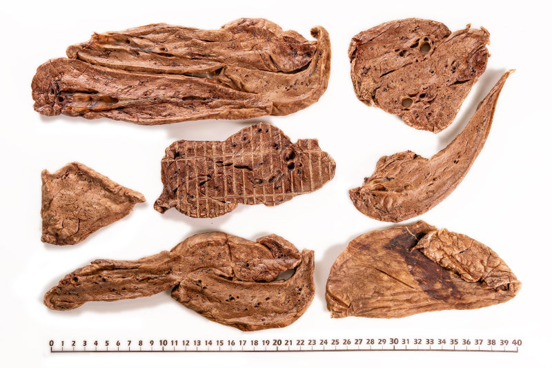 Air Dried Iwami Pork Lung