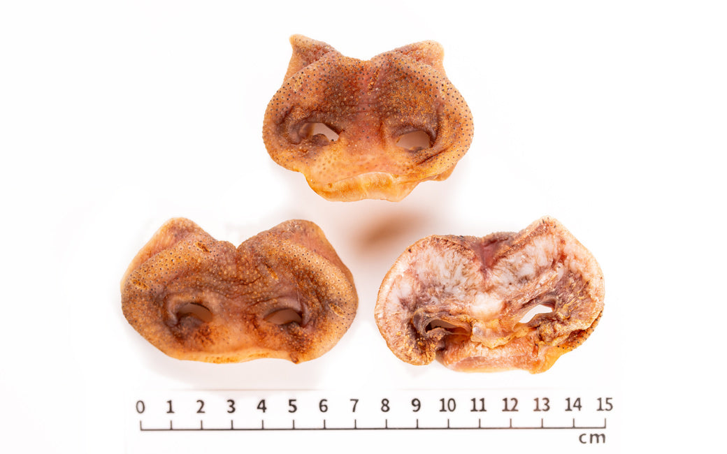 Air Dried Pig Nose