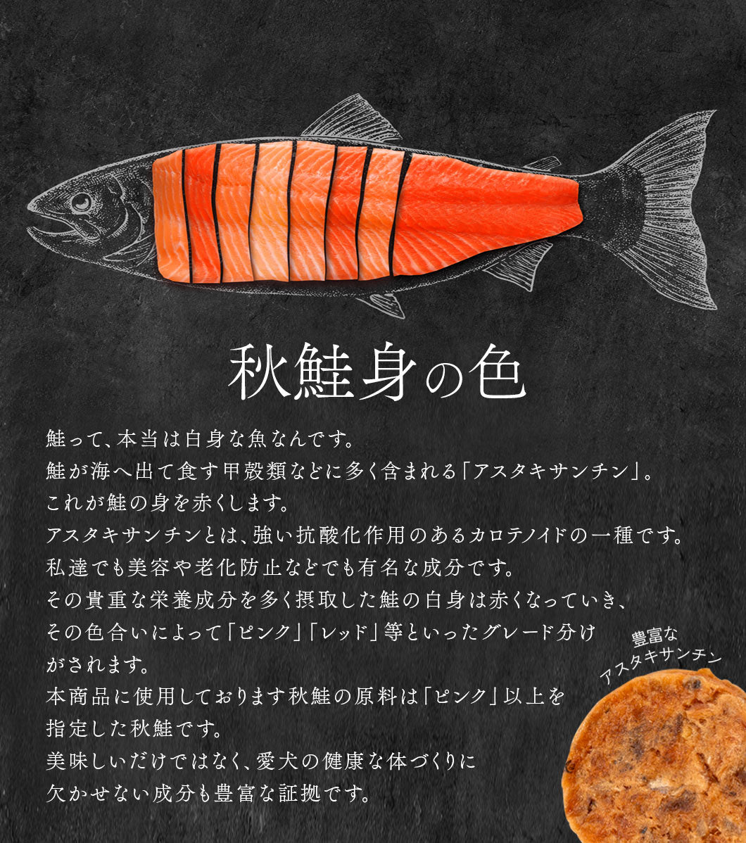 Air Dried Salmon Chips