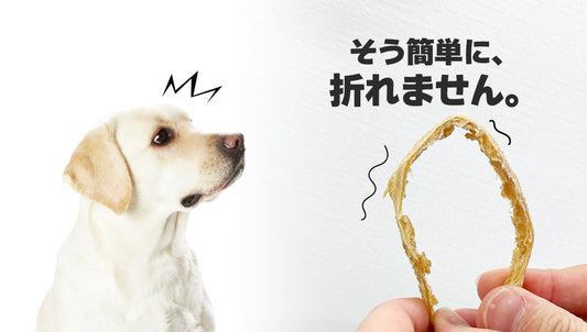 Air Dried Shark Meat Sticks