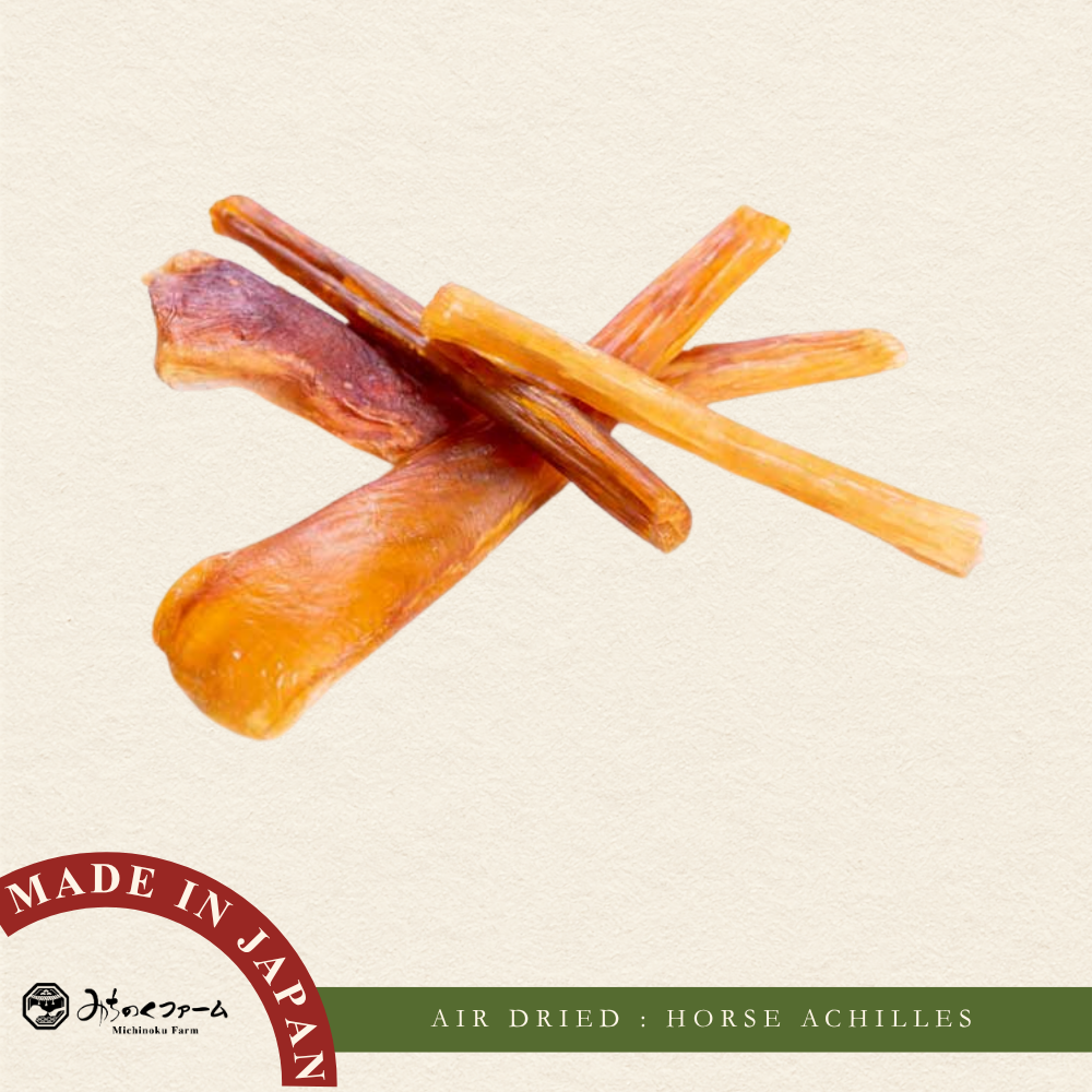 Air Dried Horse Achilles