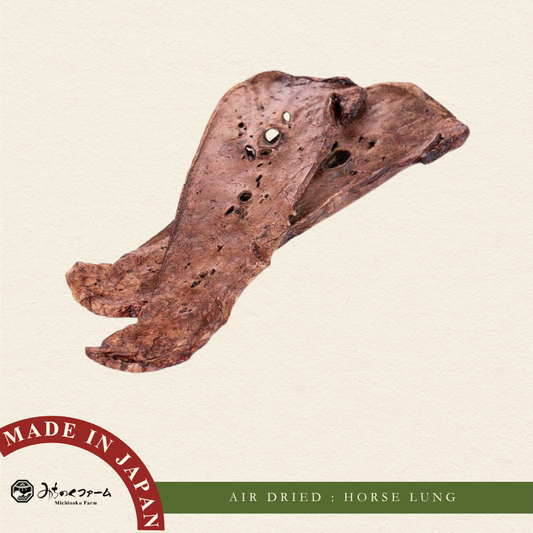 Air Dried Horse Lung