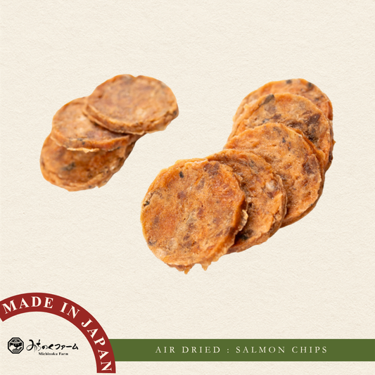 Air Dried Salmon Chips