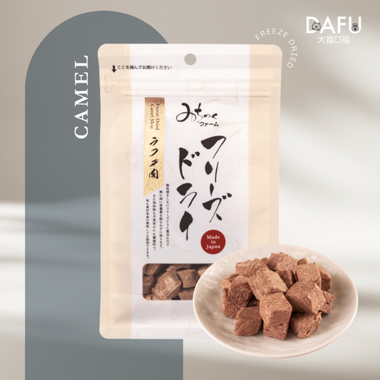 Freeze Dried Camel