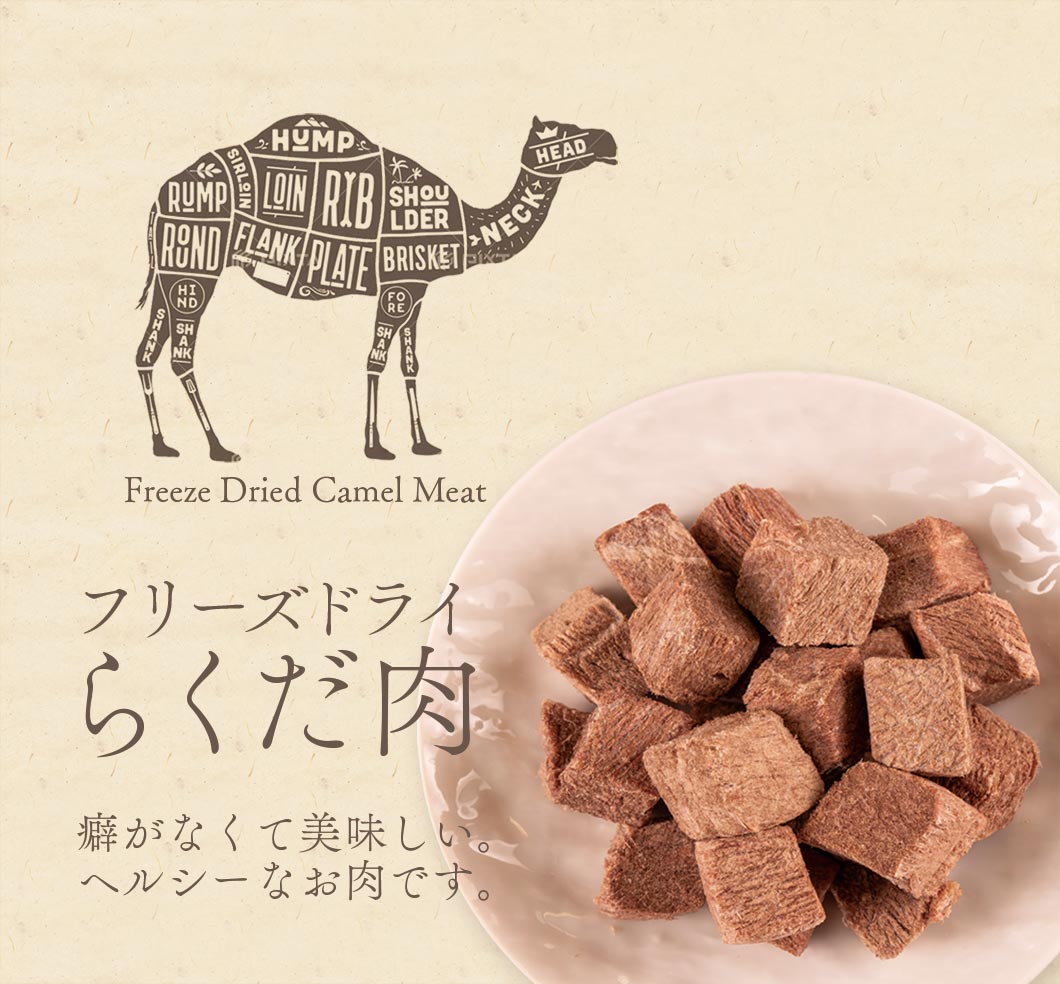 Freeze Dried Camel