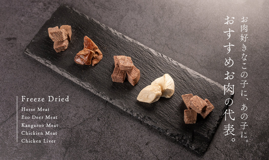 Freeze Dried Protein 5 Flavour Trial Set