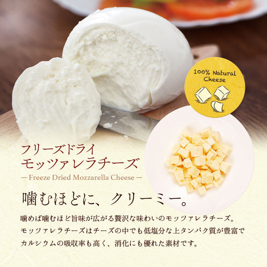 Freeze Dried Mozzarella Cheese