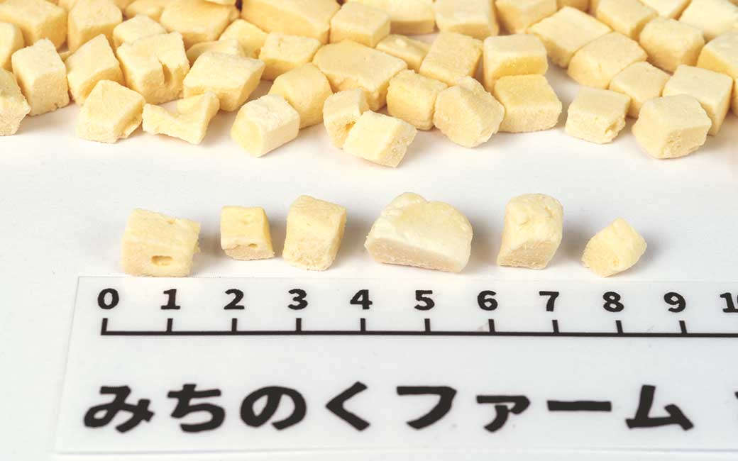 Freeze Dried Mozzarella Cheese