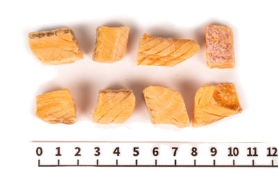 Freeze Dried Silver Salmon