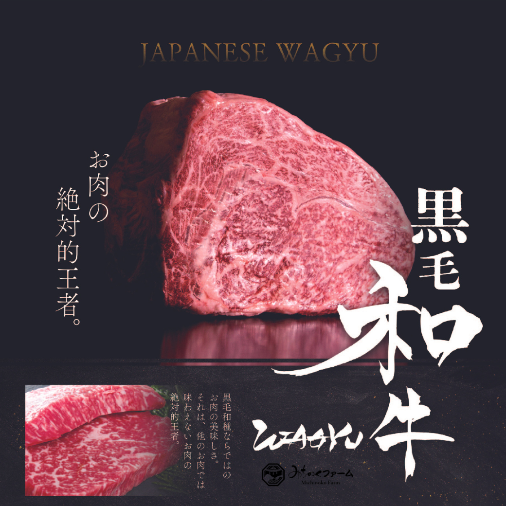 Freeze Dried Japanese Wagyu