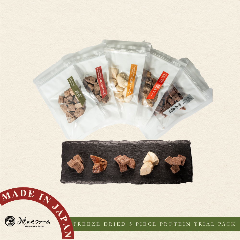 Freeze Dried Protein 5 Flavour Trial Set