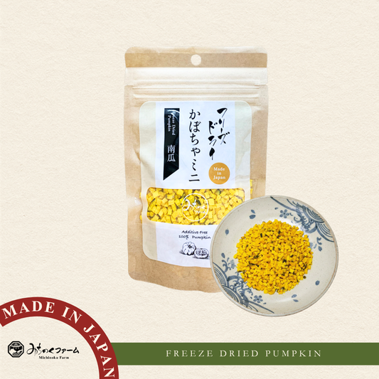 Freeze Dried Pumpkin