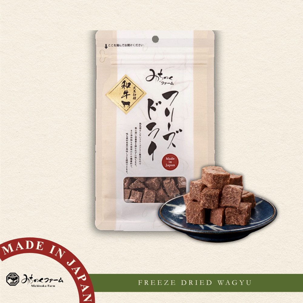 Freeze Dried Japanese Wagyu