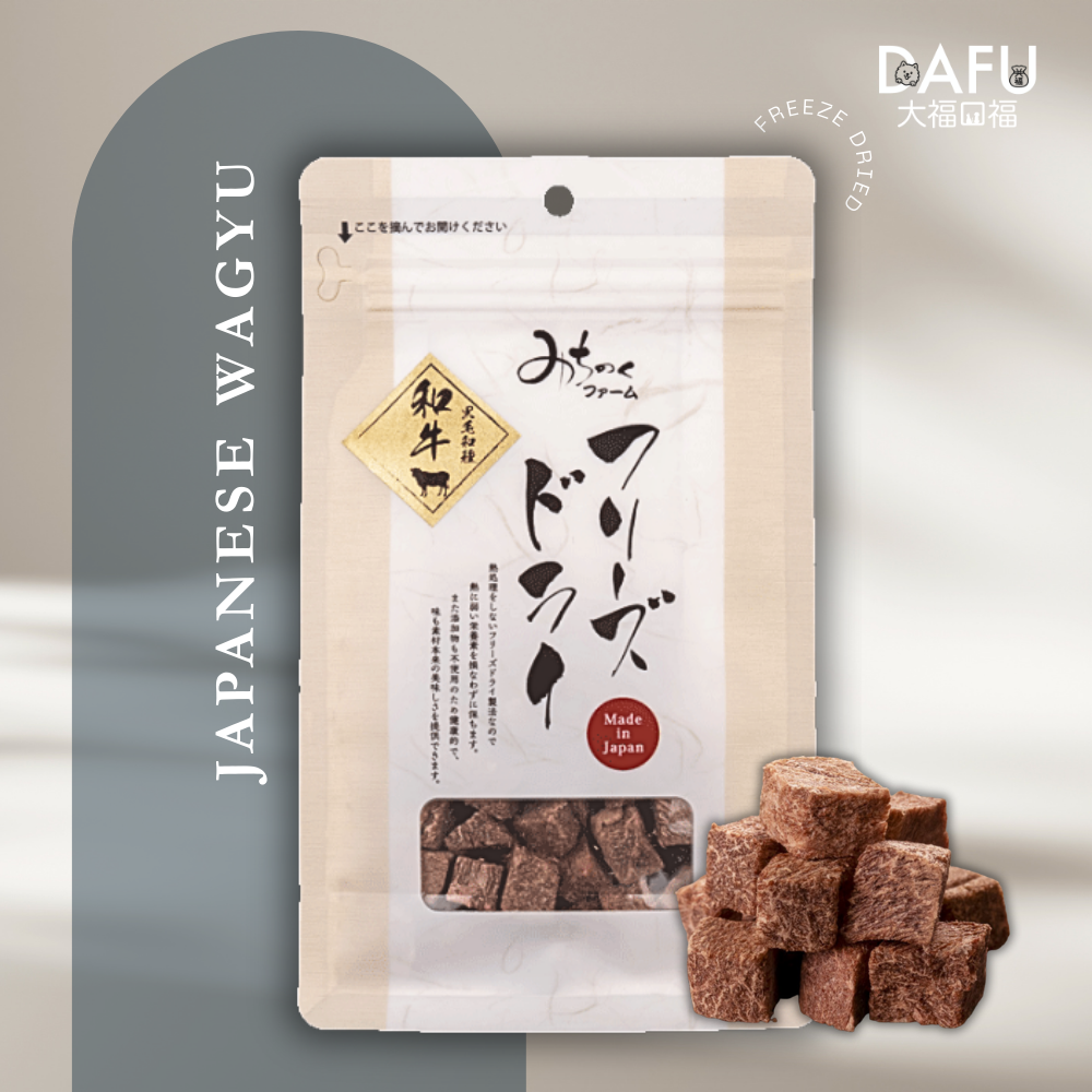 Freeze Dried Japanese Wagyu