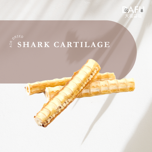 Air Dried Shark Cartilage