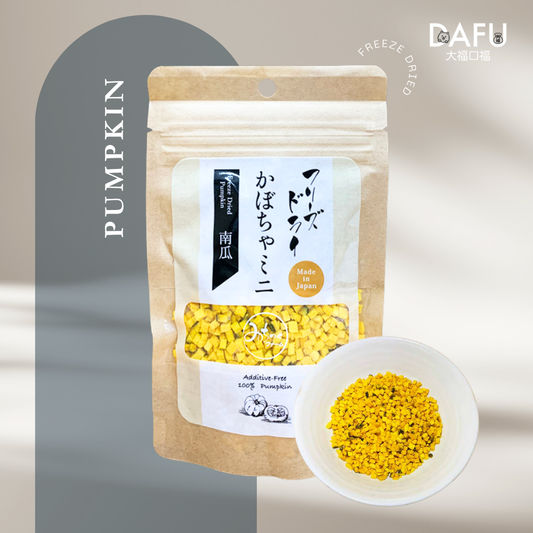 Freeze Dried Pumpkin