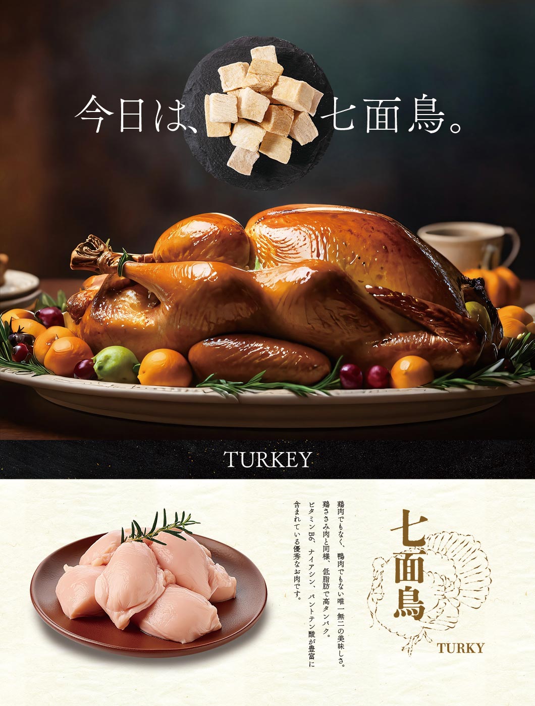 Freeze Dried Turkey Meat